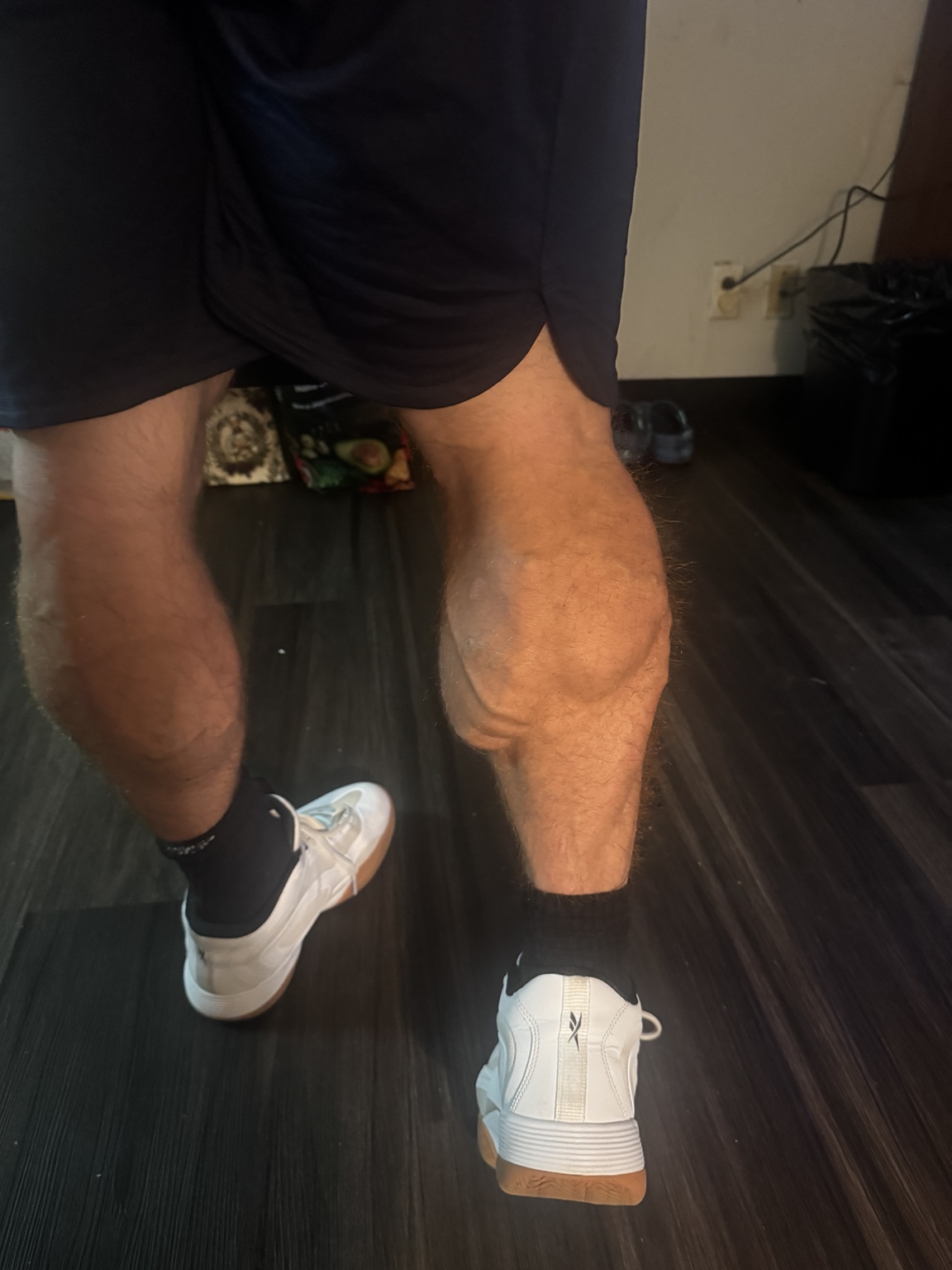 Leg development